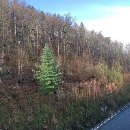 Harzverliebt Bad Harzburg